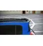 SPOILER CAP RENAULT MEGANE II RS R26