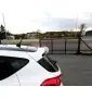 Spoiler Cap Ford Fiesta Mk8