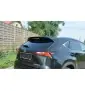 Spoiler Cap Lexus NX Preface/Facelift