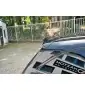 SPOILER CAP Mercedes C-Class S205 63AMG Estate