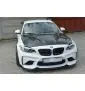 Lame Du Pare-Chocs Avant BMW M2 (F87) COUPÉ