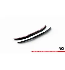 Spoiler Cap Audi RS4 B9 Avant