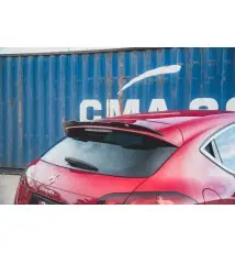 Spoiler Cap Citroen DS4