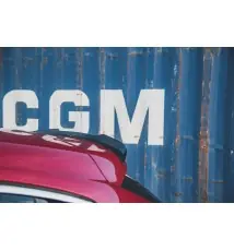 Spoiler Cap Citroen DS4