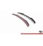 Spoiler Cap Central Mercedes-AMG GT 53 / 43 V8 Package 4 Door-Coupe X290