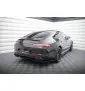Arriere Splitter (avec une barre verticale) Mercedes-AMG GT 53 4-Door Coupe X290