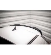 Spoiler Cap Opel Insignia OPC Sports Tourer Mk1